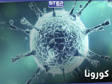 باحثون بريطانيون يشيرون إلى مادة في المبيدات الحشرية تقتل كورونا نهائياً.. إليك التفاصيل - وكالة ستيب نيوز