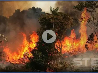 بالفيديو|| مشاهد مرعبة بتصوير جوي لحجم الحرائق في سوريا واقترابها من قطع عسكرية - وكالة ستيب نيوز