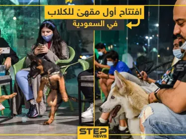 افتتاح أول مقهى للكلاب في السعودية - وكالة ستيب نيوز