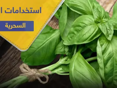 5 استخدامات سحرية لـ الريحان لتحافظ على صحتك - وكالة ستيب نيوز