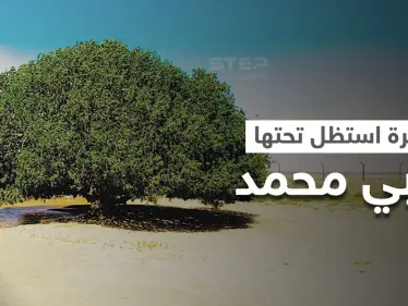 الشجرة التي استراح تحتها النبي محمد خلال رحلته إلى سوريا تُزرع بمدينة روسية - وكالة ستيب نيوز