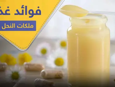 غذاء ملكات النحل لعمر مديد وصحة وشباب دائم - وكالة ستيب نيوز