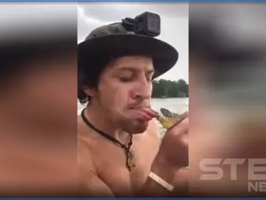 بالفيديو|| لحظات مؤلمة من حياة صياد ثعابين.. ثعبان كبير يقضم لسان صياد حاول مداعبته - وكالة ستيب نيوز