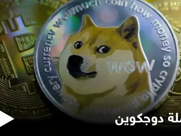 نشأت بهدف السخرية وصعدت لتحتل مرتبة عالمية.. تعرف إلى عملة دوجكوين وسبب صعودها المفاجئ - وكالة ستيب نيوز