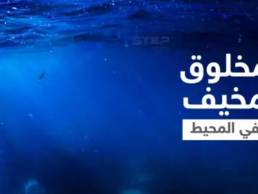 مخلوق غريب بفك مزدوج وجزء من القرش وآخر كالأفعى يظهر في المحيط الهادئ ويثير الرعب (صورة) - وكالة ستيب نيوز