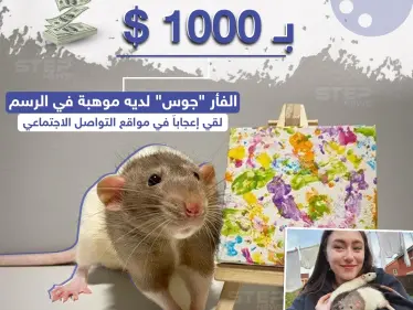 لوحة فنية بريشة فأر تباع بأكثر من 1000 دولار - وكالة ستيب نيوز