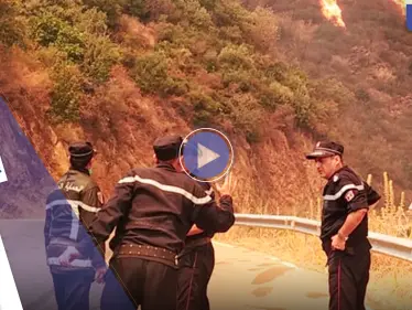 بالفيديو|| حرائق الجزائر تطال المنازل وتلتهم حافلة بمن فيها - وكالة ستيب نيوز