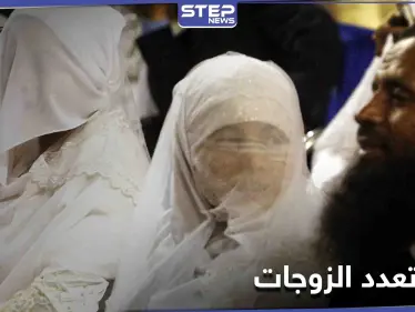 دار الإفتاء المصرية تنهي الجدل بخصوص تطبيق حكم تعدد الزوجات المذكور في القرآن الكريم - وكالة ستيب نيوز