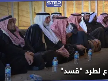 مشروع إيراني جديد لطرد "قسد" من ديرالزور.. و"مسد" تتخوف من عملٍ عسكري مرتقب - وكالة ستيب نيوز