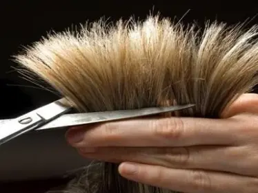 ما الرسالة وراء قص الشعر في المنام لابن سيرين والإمام الصادق وابن شاهين - وكالة ستيب نيوز