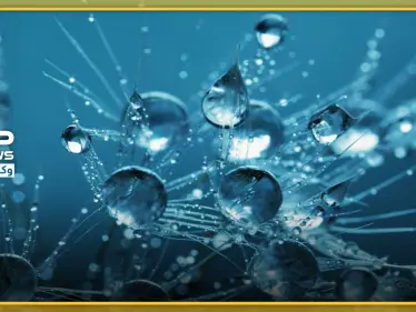 هل ينتقل فيروس كورونا عبر المياه.. وهل يشمل مياه الصرف الصحي وبراز المرضى؟ - وكالة ستيب نيوز