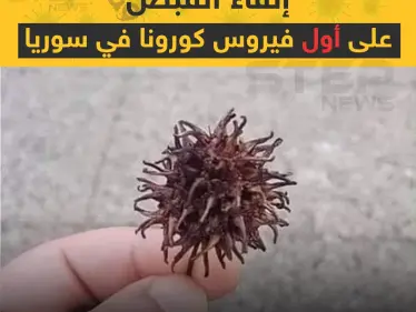 فيروس كورونا في سوريا - وكالة ستيب نيوز