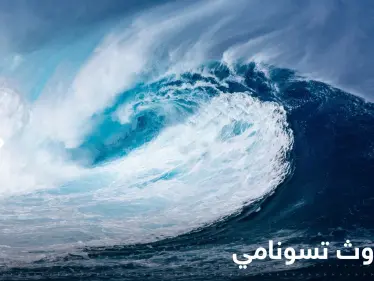 تعقيباً على تراجع مياه البحر في الساحل السوري بعد الزلزال.. خبير يكشف مدى احتمالية حدوث تسونامي - وكالة ستيب نيوز