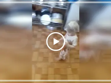 بالفيديو|| ردة فعل مفاجئة لأم وجدت طفلتها تعبث بالطحين.. وموجة تفاعل على "تويتر" - وكالة ستيب نيوز