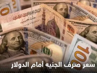 مصر تكشف سر مرونة سعر صرف الجنيه أمام الدولار - وكالة ستيب نيوز