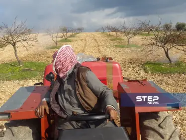 رش أشجار الفستق الحلبي بالزيت الشتوي والمبيدات الحشرية بريف إدلب - وكالة ستيب نيوز