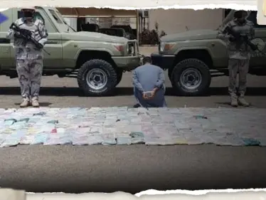 إحباط محاولة تهريب 43 طنا من القات و 1.2 طن من مادة الحشيش في 5 مناطق في السعودية - وكالة ستيب نيوز