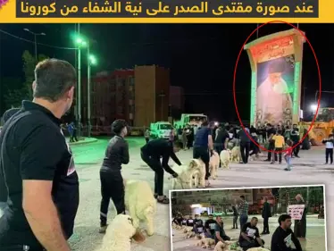 أنصار مقتدى الصدر يتصدون لفايروس كورونا بنحر الخراف - وكالة ستيب نيوز