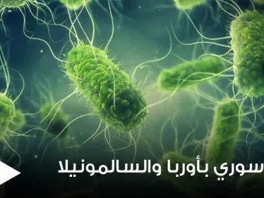 منتجات سورية في أوروبا تتسبب بعدة إصابات ببكتيريا السالمونيلا.. فما هي وما أعراضها ودرجة خطورتها - وكالة ستيب نيوز