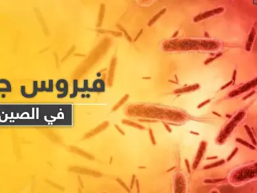 لا علاج له منذ أعوام.. فيروس جديد في الصين شديد العدوى يتسبب بمقتل 7 أشخاص - وكالة ستيب نيوز