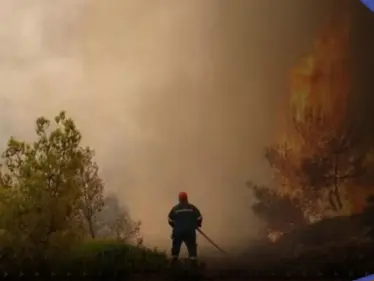 شاهد|| طائرة مسيرة تضبط شخص يشعل النيران في غابات إقليم كالابريا الإيطالي - وكالة ستيب نيوز