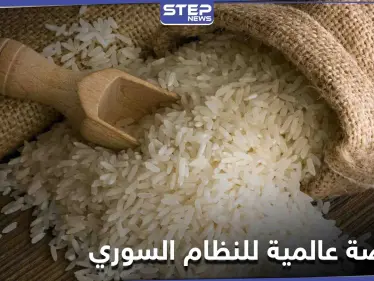 النظام السوري يطرح مناقصة عالمية لشراء كميات كبيرة من مادة غذائية أساسية - وكالة ستيب نيوز