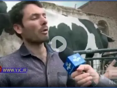 بالفيديو|| إيراني يحضر بقرته إلى البنك لسداد ديونه بسبب "كورونا" - وكالة ستيب نيوز