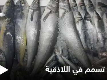 بسبب سوء التخزين.. 21 حالة تسمم غذائي في اللاذقية ومنع بيع "سمك الدراويش" إلا عبر شروط خاصة - وكالة ستيب نيوز