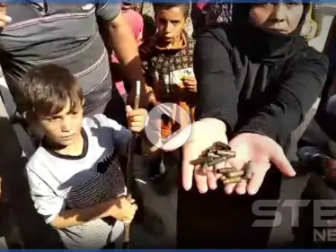 بالفيديو|| الشرطة العسكرية التابعة للمعارضة تقتحم مخيمًا للنازحين باعزاز.. وتعتدي على النساء بالرصاص والضرب - وكالة ستيب نيوز