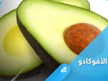 فوائد زبدة الأفوكادو وطريقة تحضيرها بخطوات سهلة - وكالة ستيب نيوز