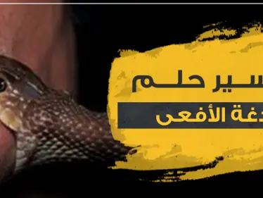 تفسير حلم لدغة الأفعى للفتاة العزباء.. وبحسب لون الأفعى ومكان اللدغة - وكالة ستيب نيوز