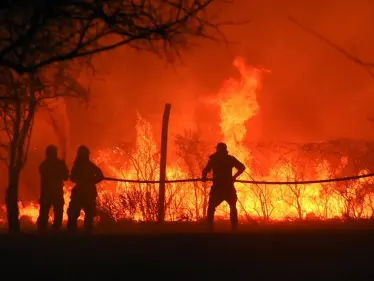 وزير الخارجية التركي: تلقينا عروض مساعدة من 9 دول بينها الولايات المتحدة - وكالة ستيب نيوز