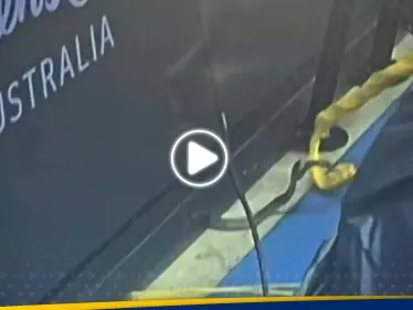 شاهد|| ثعبان سام يوقف مباراة تنس 40 دقيقة في أستراليا - وكالة ستيب نيوز