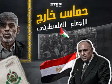 ما بين مؤيد ومعارض.. تصريحات وزير الخارجية المصري تشعل تفاعلاً .. شاركنا برأيك ؟ - وكالة ستيب نيوز