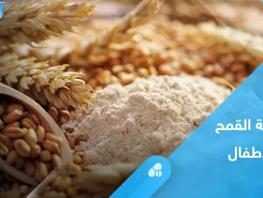 ما هي حساسية القمح عند الرضع.. إليك أسبابها وطرق علاجها - وكالة ستيب نيوز