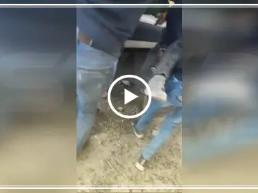 شاهد بالفيديو|| قتيل وجرحى بقصف صاروخي لقسد على اعزاز شمالي حلب - وكالة ستيب نيوز