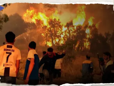 شاهد|| حرائق ضخمة في الجزائر تلتهم الغابات وتصيب العشرات وألسنة اللهب تصل البيوت - وكالة ستيب نيوز