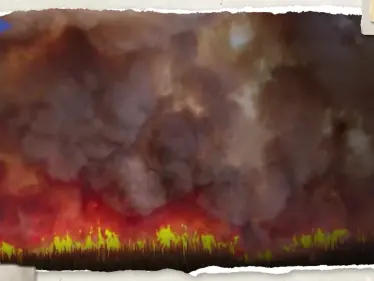 "الأسوأ بتاريخها".. حرائق كندا يصل دخانها إلى أوروبا وتلوث هواء غير مسبوق - وكالة ستيب نيوز