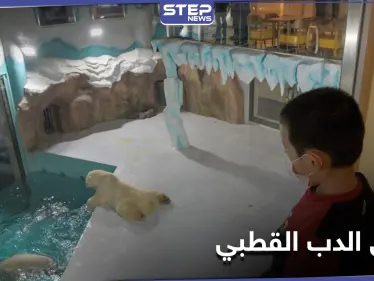 فندق الدب القطبي الأول في العالم يستقبل زواره في الصين - وكالة ستيب نيوز