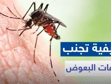 لتجنب لدغات البعوض مع دخول فصل الصيف.. تناول هذه الأعشاب والتوابل - وكالة ستيب نيوز