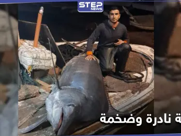 بالصور|| لبناني يصطاد سمكة نادرة وضخمة بطول 3 أمتار من شواطئ عكار شمال البلاد - وكالة ستيب نيوز