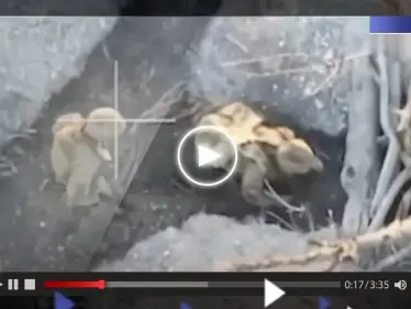 حاولت إسقاطها بالبنادق.. شاهد ماذا فعلت مسيرة انتحارية روسية بمجموعة أوكرانية متحصنة داخل خندق - وكالة ستيب نيوز