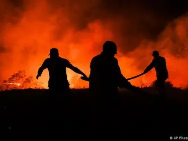 مصر تعلق على حرائق الغابات في تركيا معلنة تضامنها - وكالة ستيب نيوز