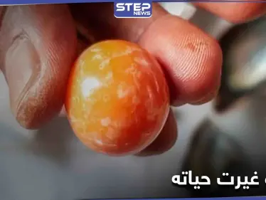 كما في الروايات... لؤلؤة نادرة تقلب حياة صياد رأساً على عقب (صور) - وكالة ستيب نيوز