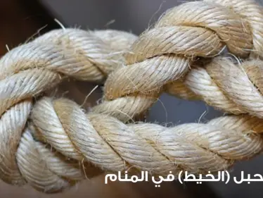 رؤية الحبل في المنام باختلاف أحواله عند جماعة من المعبرين - وكالة ستيب نيوز