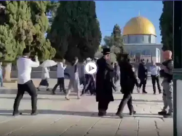 بالفيديو || مجموعات من المستوطنين تقتحم المسجد الأقصى والخارجية الفلسطينية تعلق - وكالة ستيب نيوز
