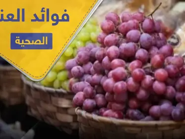 فوائد العنب وخواصه المتميزة في علاج الأمراض - وكالة ستيب نيوز