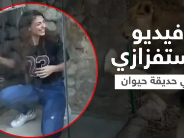 مشهد استفزازي لفتاتين مع أسد داخل حديقة حيوان في لبنان يثير جدلاً واسعاً (فيديو) - وكالة ستيب نيوز
