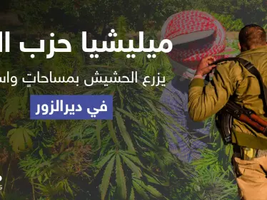 بمعاونة النظام السوري.. "حزب الله" يزرع الحشيش بمساحاتٍ واسعة في دير الزور - وكالة ستيب نيوز