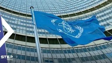 الوكالة الدولية للطاقة الذرية: إيران قدمت ضمانات قوية للمشاركة قريباً في المناقشات التقنية